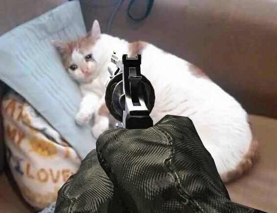 There's some GFL accounts on here where you scroll their timeline for like 8 months straight and it's exclusively:

>autistic obsession posting about a single doll
>bitching about the game, designs, and story sucking
>autistic obsession posting about a single doll
>bitching about