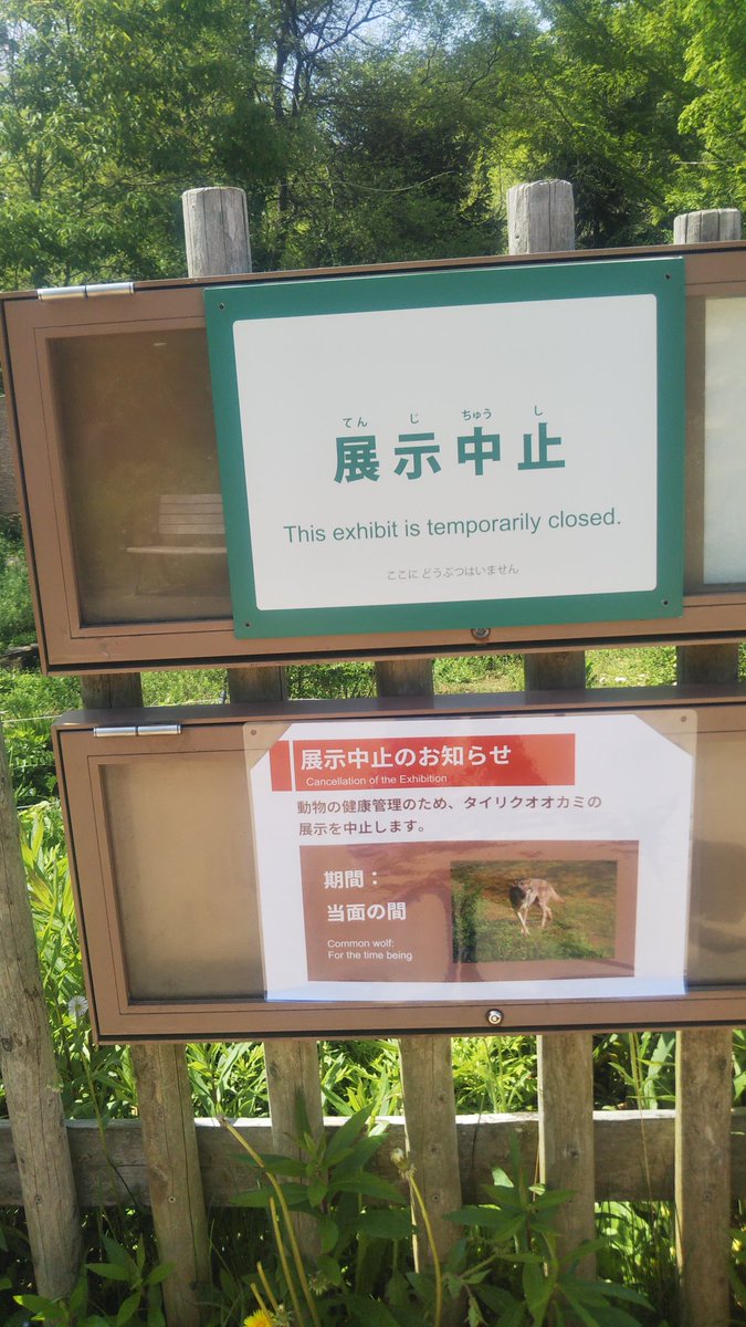 しましまちーたん tweet media