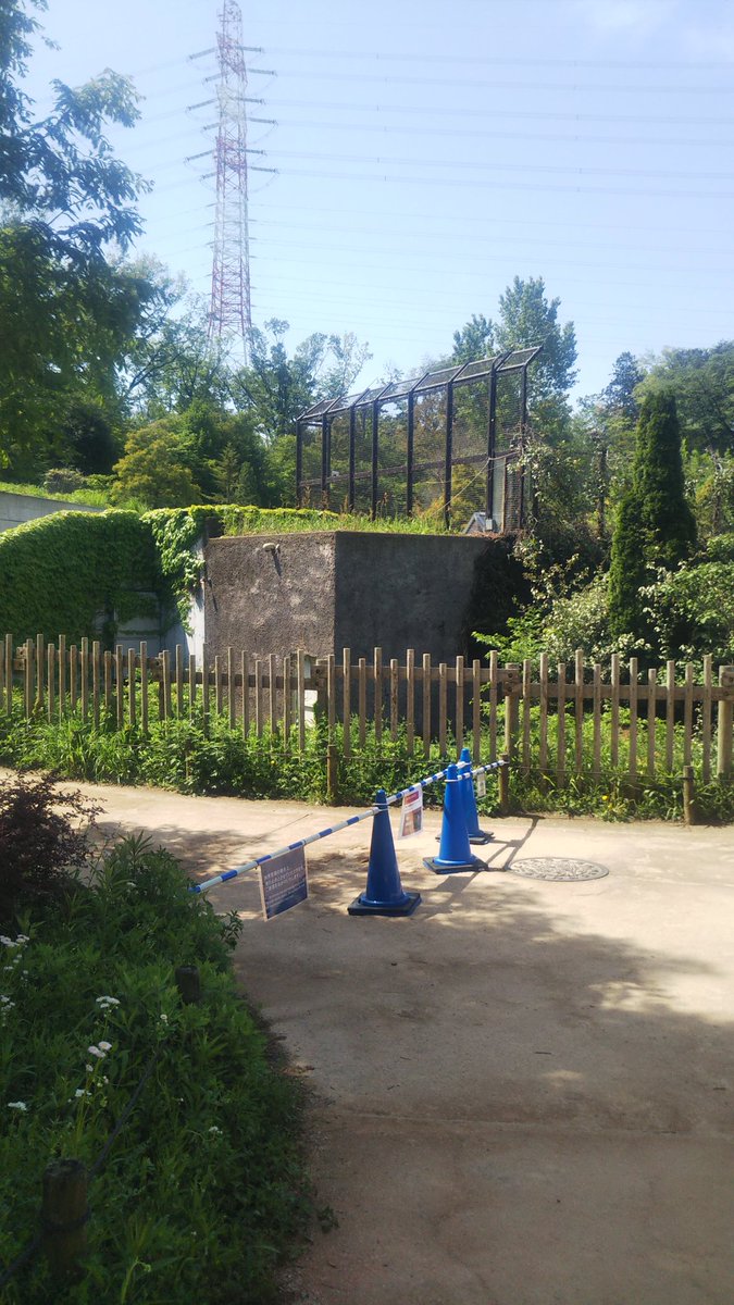 しましまちーたん tweet media