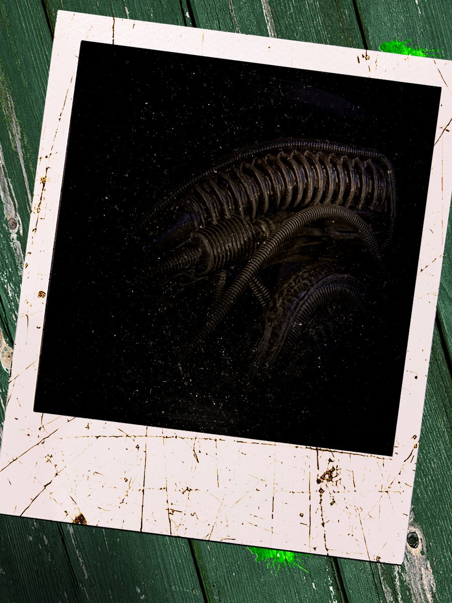 Spirit Halloween tweet media