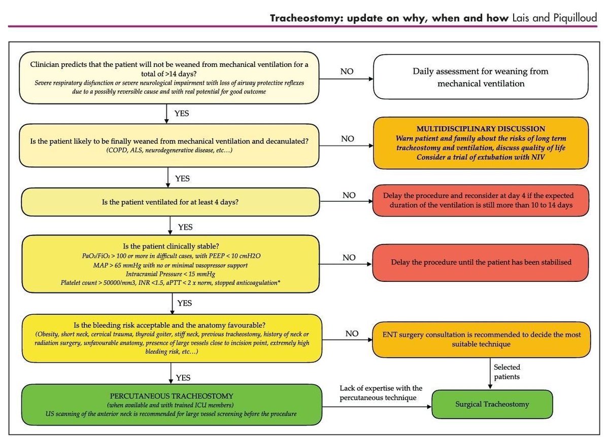 🫁🔪𝐓𝐫𝐚𝐪𝐮𝐞𝐨𝐬𝐭𝐨𝐦𝐢́𝐚‼️
⬇️⬇️⬇️⬇️

⏳ 𝐋𝐚 𝐩𝐫𝐞𝐠𝐮𝐧𝐭𝐚 𝐜𝐥𝐚𝐯𝐞
👉 ¿Ventilación >10–14 días?
👉 Si no lo anticipas… 𝐲𝐚 𝐥𝐥𝐞𝐠𝐚𝐬𝐭𝐞 𝐭𝐚𝐫𝐝𝐞

🧠 𝐅𝐢𝐥𝐭𝐫𝐨 𝐜𝐥𝐢́𝐧𝐢𝐜𝐨

* 🫁 Falla respiratoria persistente
* 🧠 Compromiso neurológico (vía aérea)