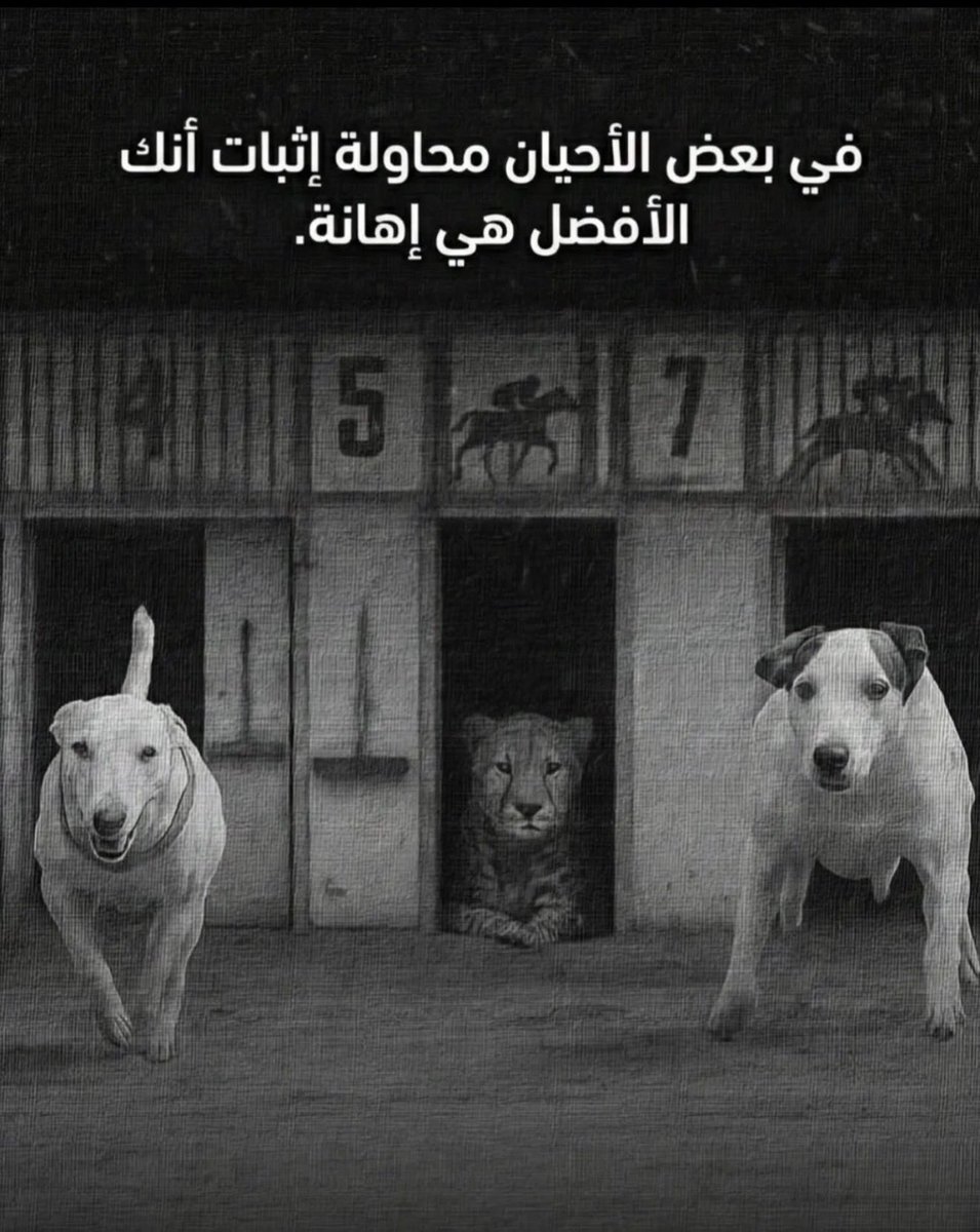 a3madaziz's tweet photo. #الاهلي_بطل_اسيا https://t.co/g8GMJ1cZ2b
