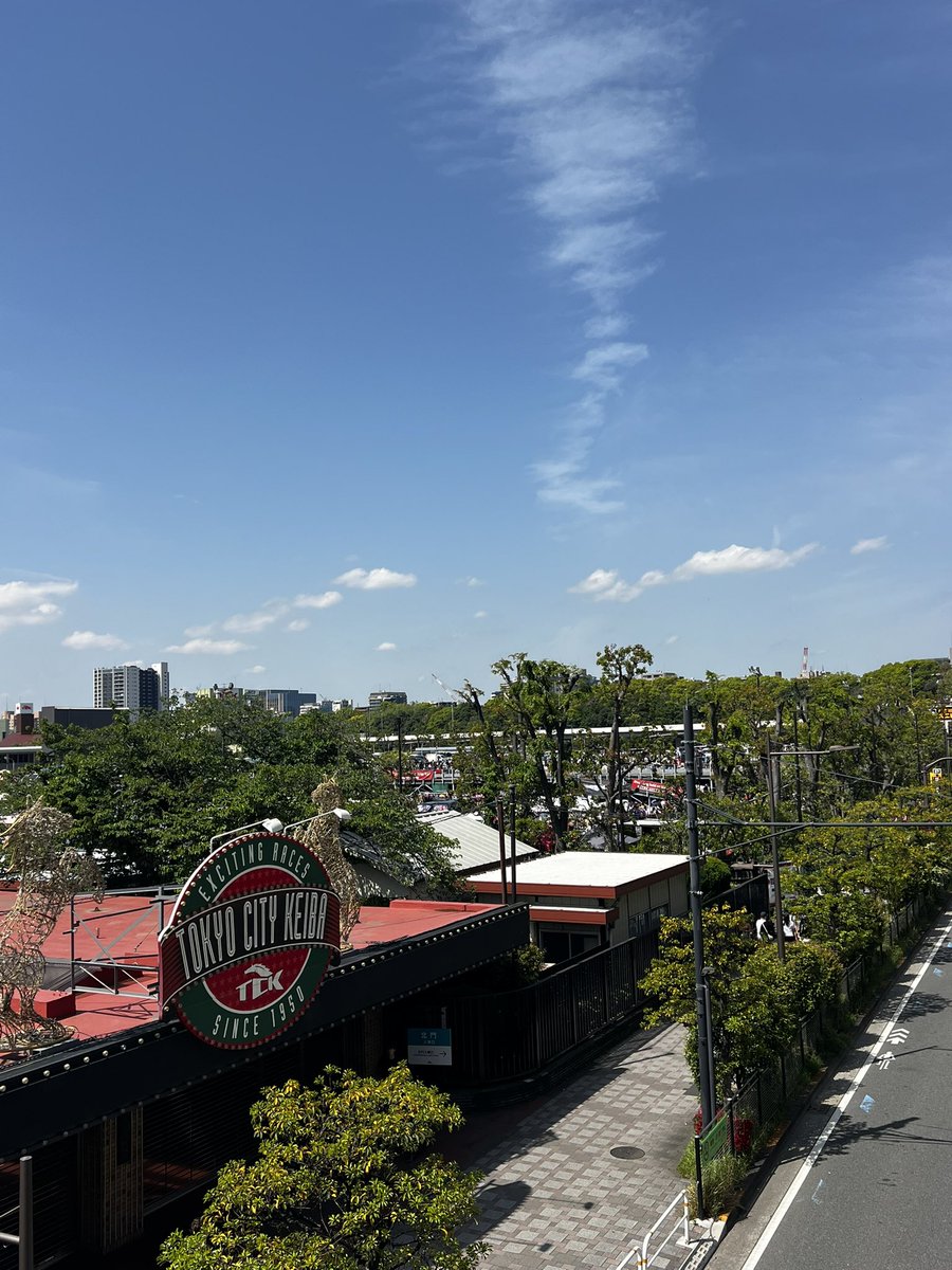 𝓞 型 tweet media