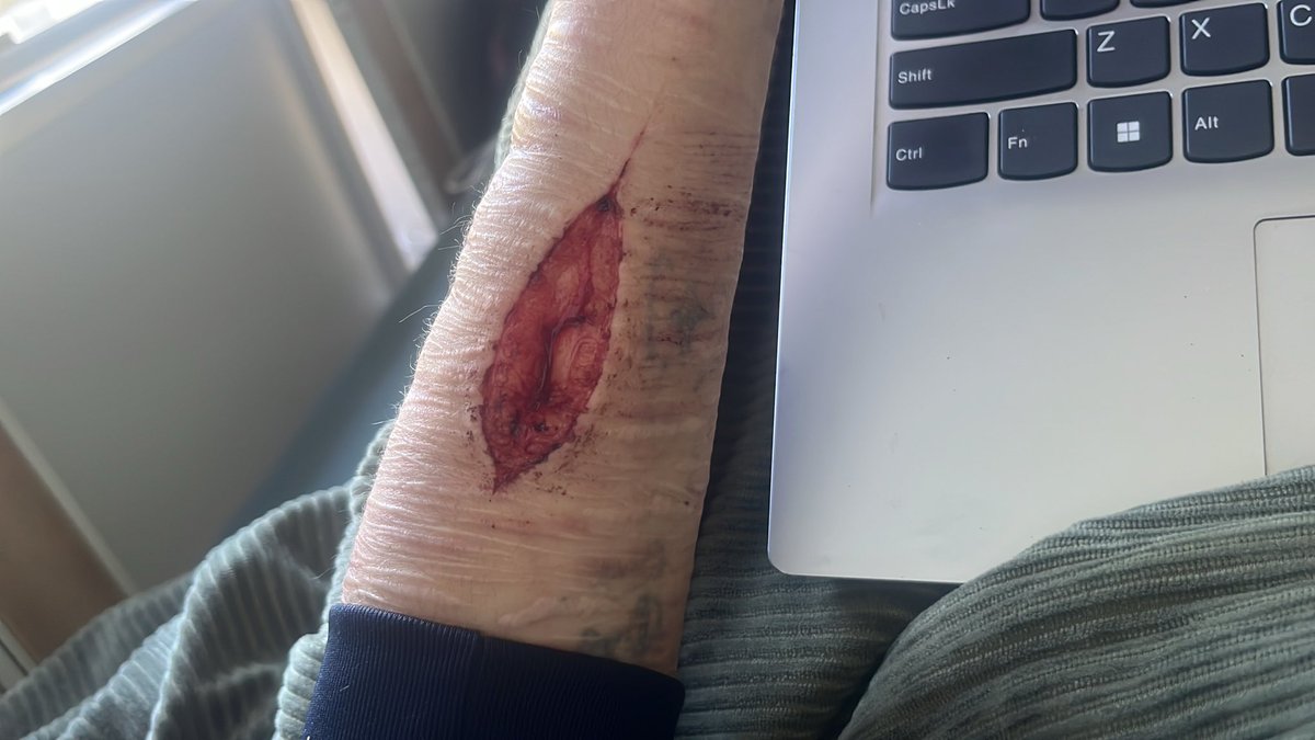 Mоrsе соde of proshipkleptoshеdtwt 🍋🌈 tweet media