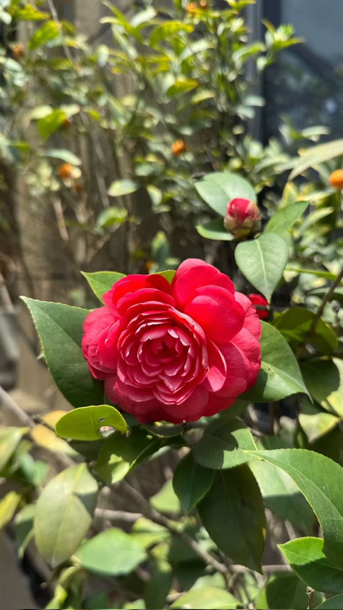 谢谢你来啦 tweet media