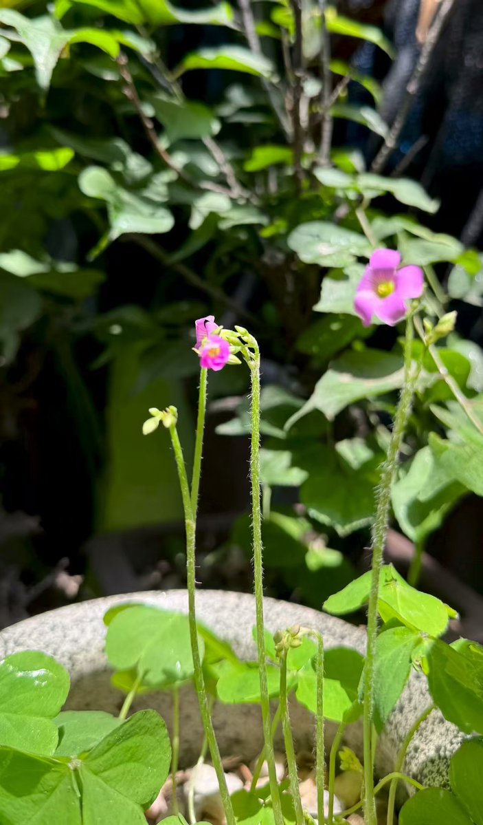 谢谢你来啦 tweet media