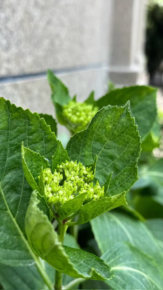 谢谢你来啦 tweet media