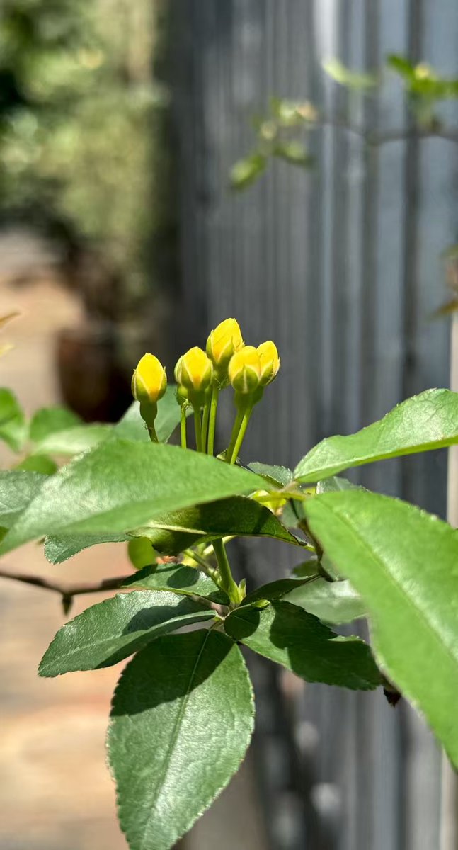 谢谢你来啦 tweet media