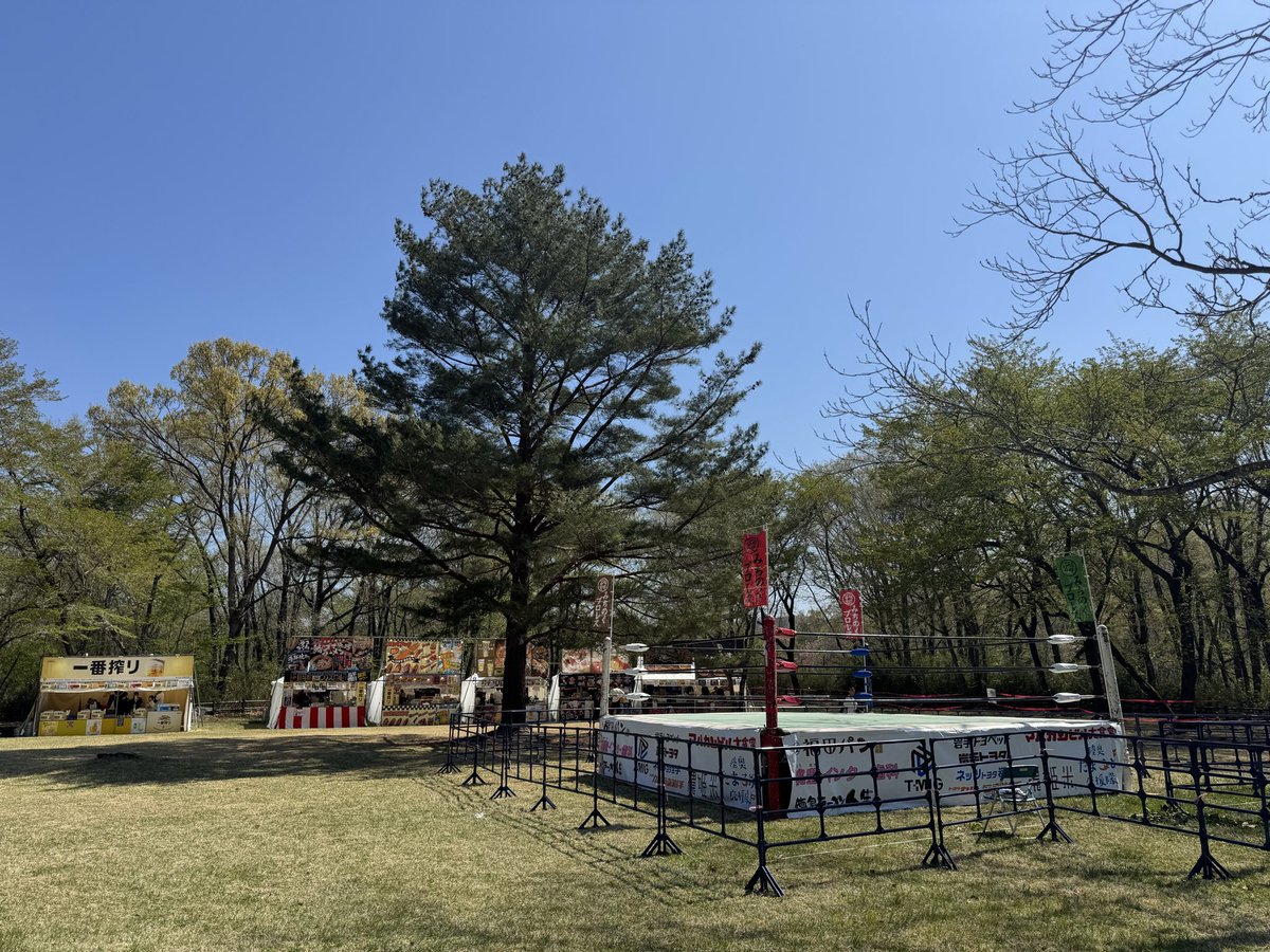 パンチ田原 PunchTahara tweet media