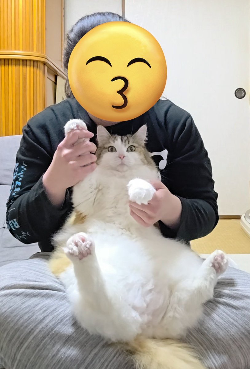 wXWjAtp2pnshChJ's tweet photo. 🏠🐱 帰ってきたのでリリイベ終了です!
今回のリリイベでなんとかラッキー〇〇「にゃんことダンス」をちぇる姉に見せる事が出来て嬉しかったぁ🥰🎵
動画は恥ずかしいので切り抜いた写真で🐱❤️リリイベは幸せになれるね🍀
動画見てくれたちぇるどれんもありがとう☺️
#ちぇるどれん
#Raychell_Colorless https://t.co/XknaMCMXOb