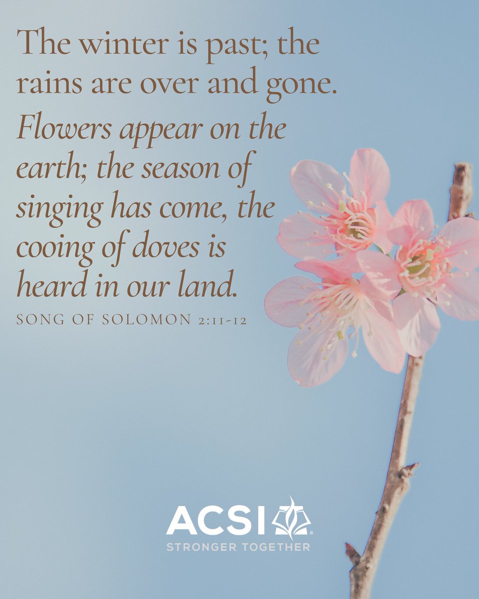 ACSI International Schools tweet media