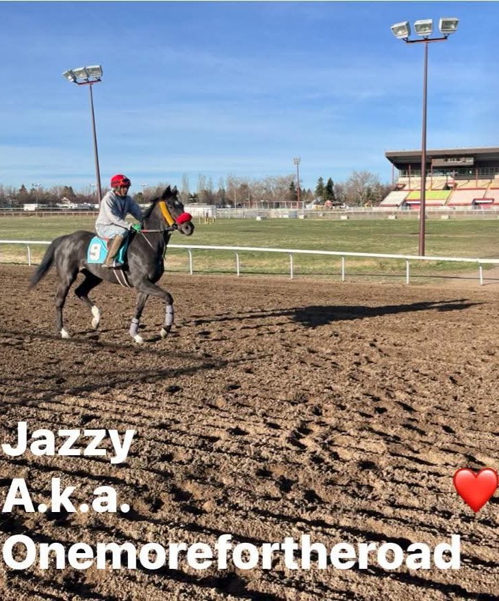 Aldridge_On's tweet photo. Evergreen Park Racing Club horses in training. Racing season at Evergreen Park runs July/August. https://t.co/xOyXvNNxmA