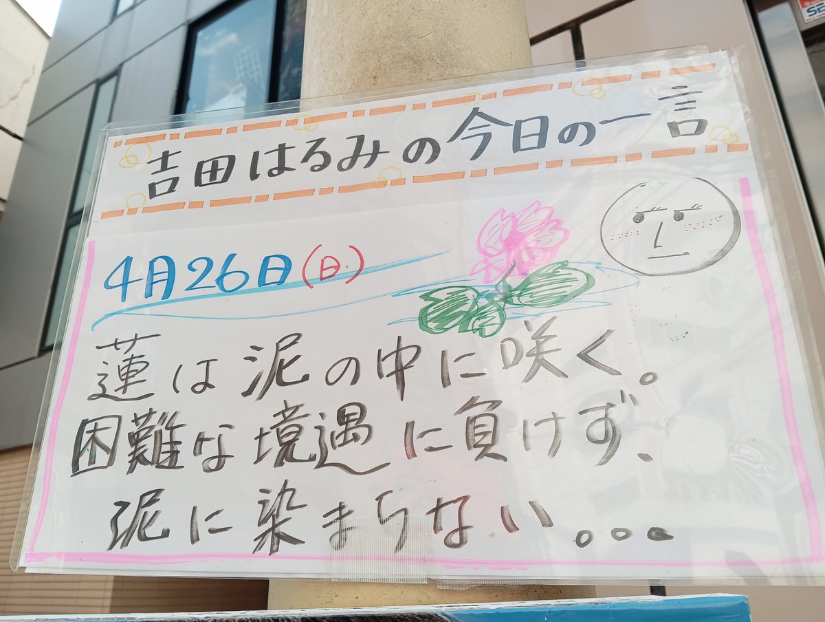 吉田はるみ事務所スタッフ tweet media
