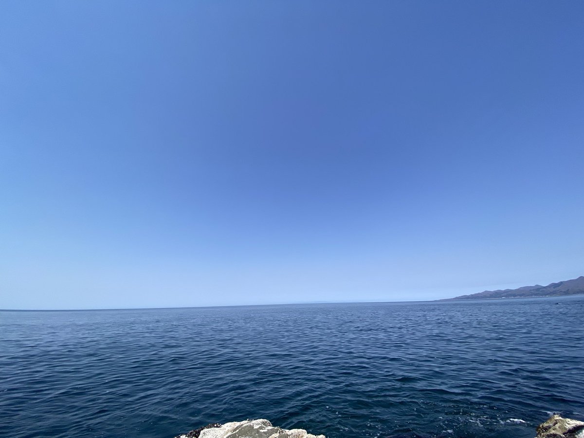 ᗦ↞◃ 〜 Shin ༅ Angler ᗦ↞◃ 〜 tweet media