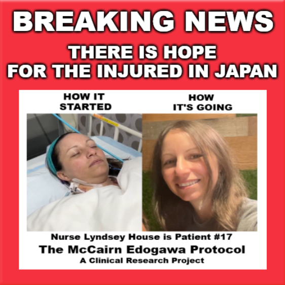 RexesRule ⚓USN ⚓😺 🦝 tweet media