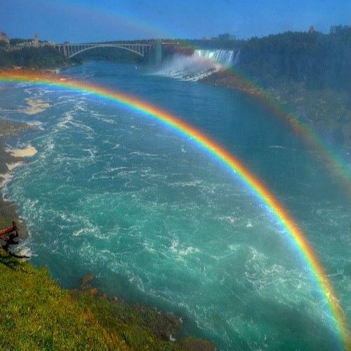 ˗ˏˋ αяι ‎⸝⸝⸝🦈ྀི =w= tweet media