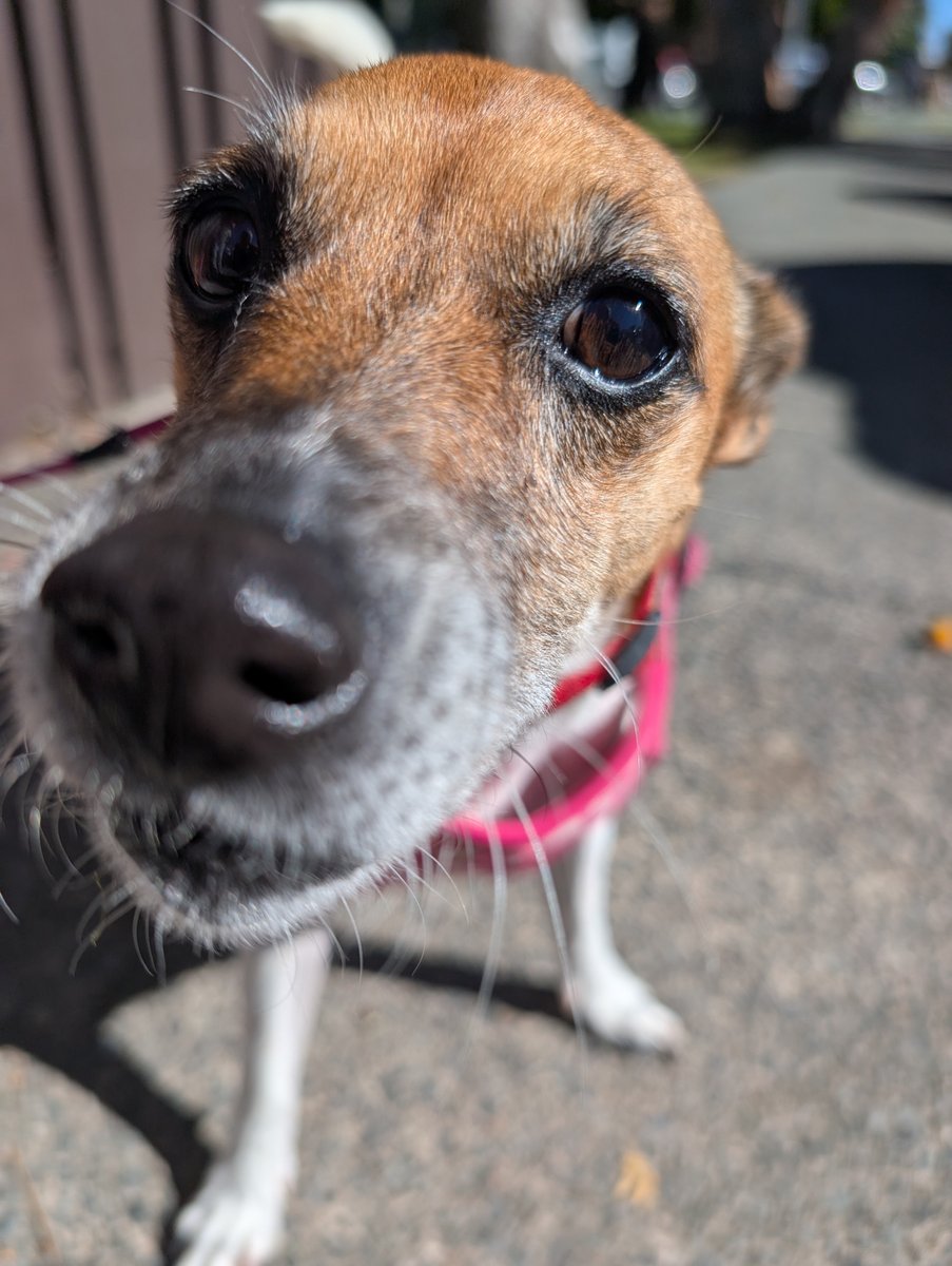 Dr Gary Payinda tweet media