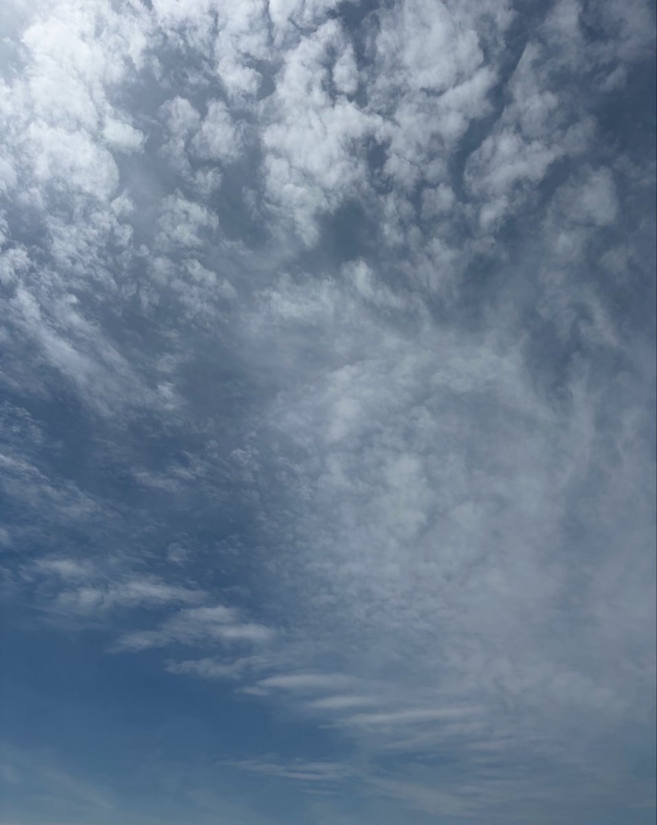 大橋タカシ tweet media