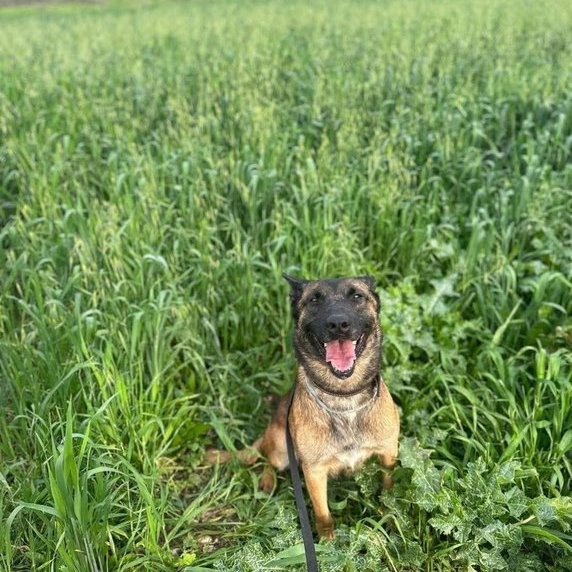 Vivid.🇮🇱 tweet media