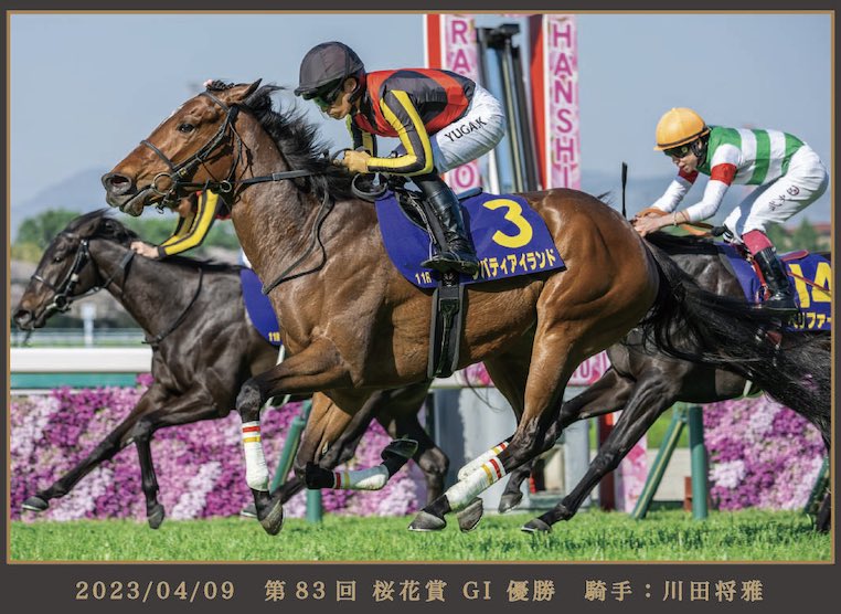 競馬　馬名前入り　第57回日本ダービー　文字プリント 浴衣2枚セット 競馬 馬名前入り 第57回日本ダービー 文字プリント 浴衣2枚セット 日本