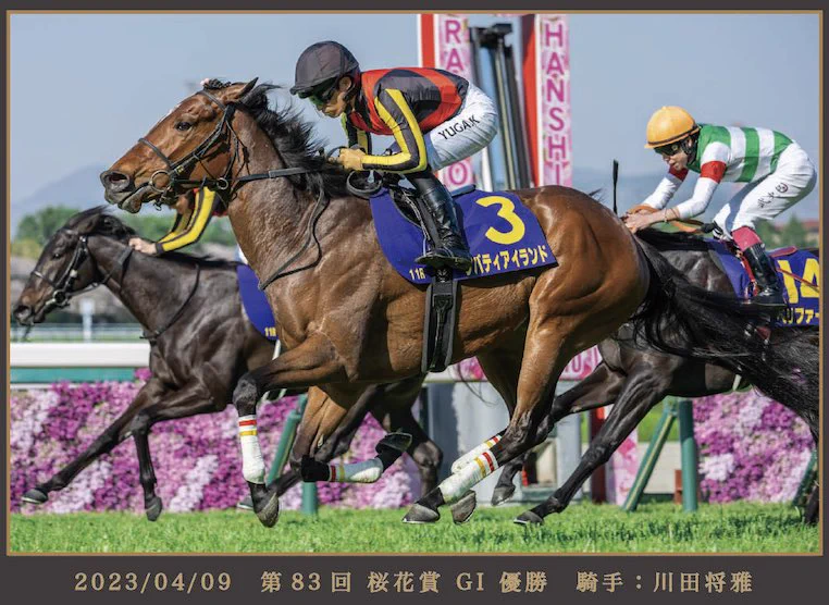 HORSEGOODSnet (@horsegoodsnet) / X