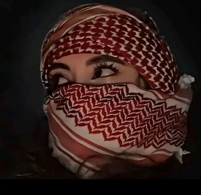 Daniel Gilmore tweet media