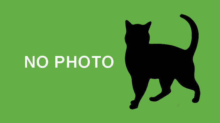 Guelph Lost Pets tweet media
