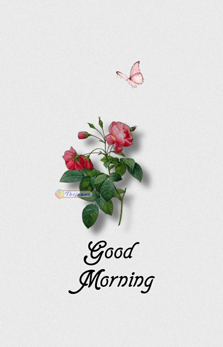 saranya 🩷 tweet media