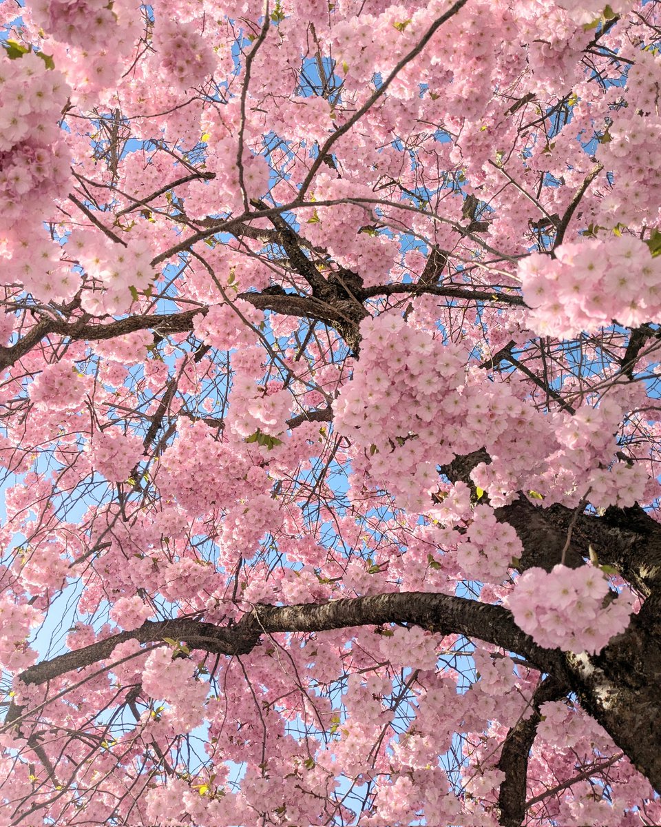 Eriasu😺 tweet media