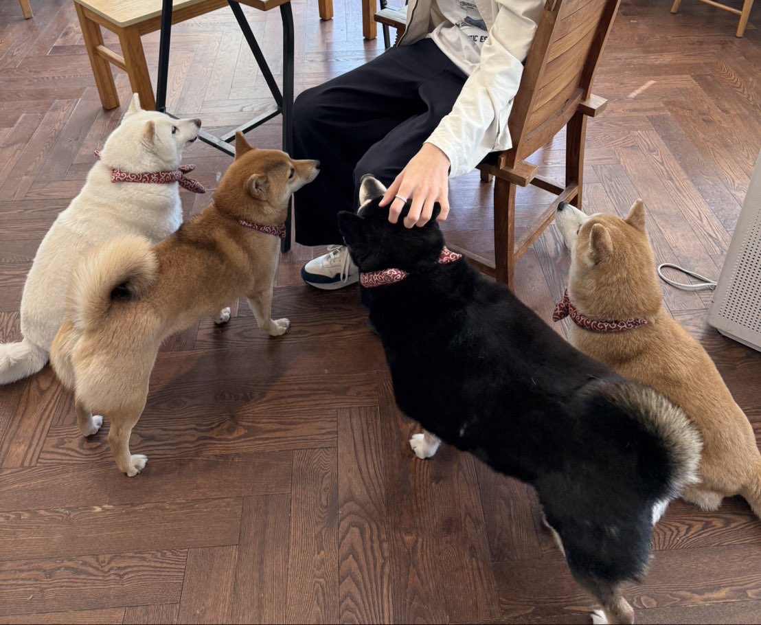 작탁전문대학교 tweet media