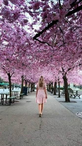 pinktearoom's tweet image. Happy Sunday 💗
Today is a reminder that looking after yourself isn’t selfish. It’s how you refill your energy, calm your mind and step into the new week feeling stronger.
One small act of self care today can change how you feel tomorrow.
#HappySunday #SelfCareSunday