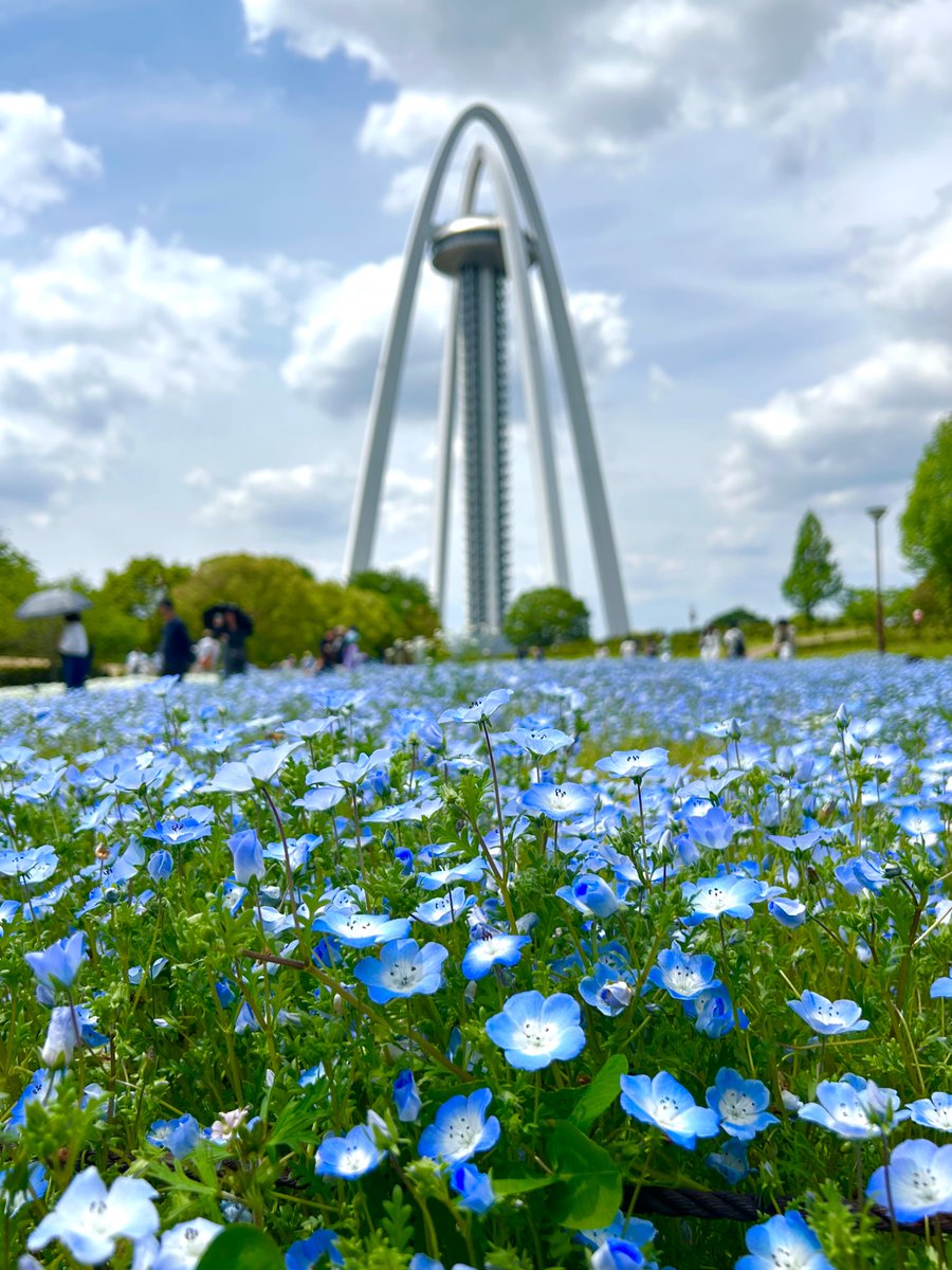 kitamura@dfc tweet media