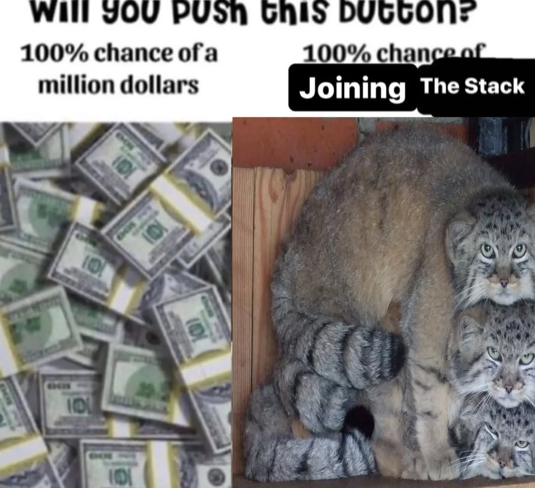 bifauxnen chaser tweet media