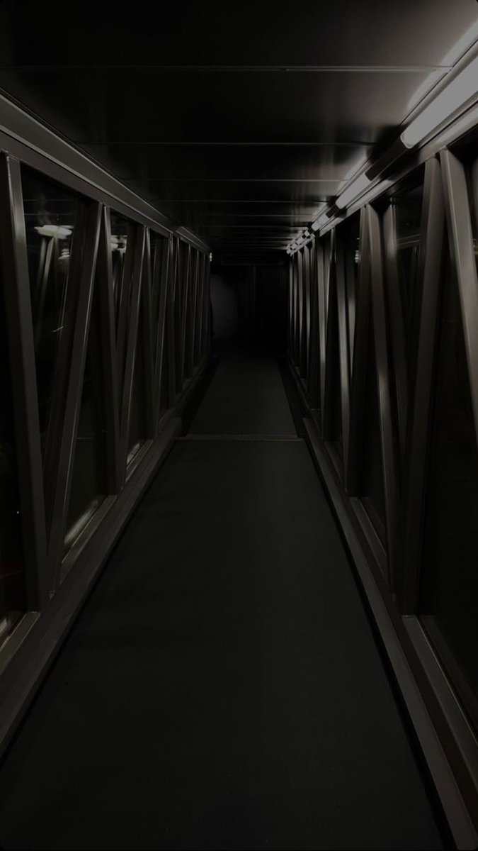 ᴋᴀʟᴇᴛʜ ꜱᴀᴜʀÍ tweet media