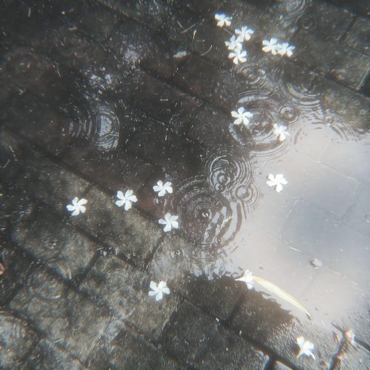 day ⋆˚꩜.ᐟ tweet media