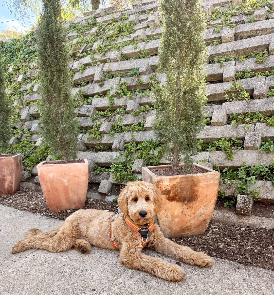 Champagne Jayne® 🥂🐾 tweet media