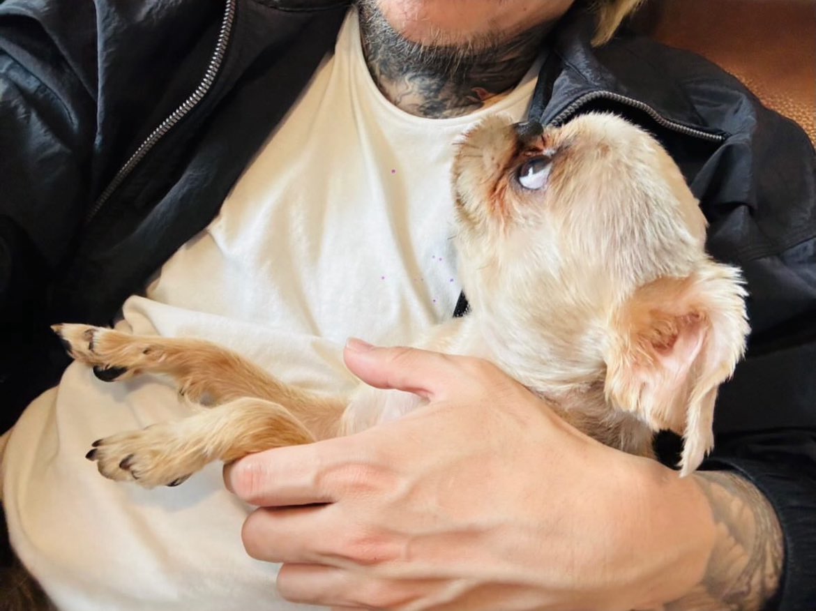 kyo posting (@kyosting) on X