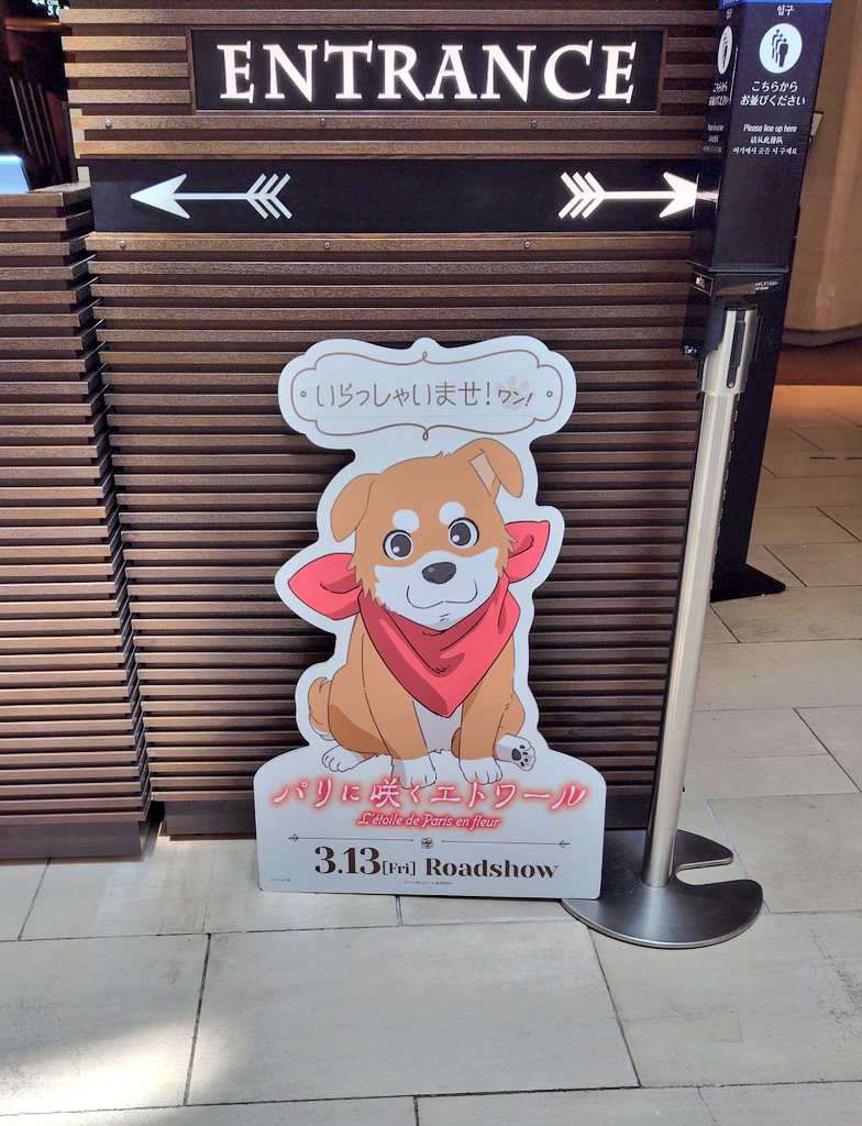 チネチッタが上映期間を延長してくれたので、またもパリに行くことが出来た。大半の映画館が終映となったこともあり、たぶん満席。出来るだけ映画館で体験しておきたい作品なので観られて良かった。
#パリに咲くエトワール