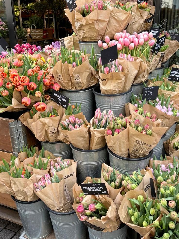 Flowerland tweet media
