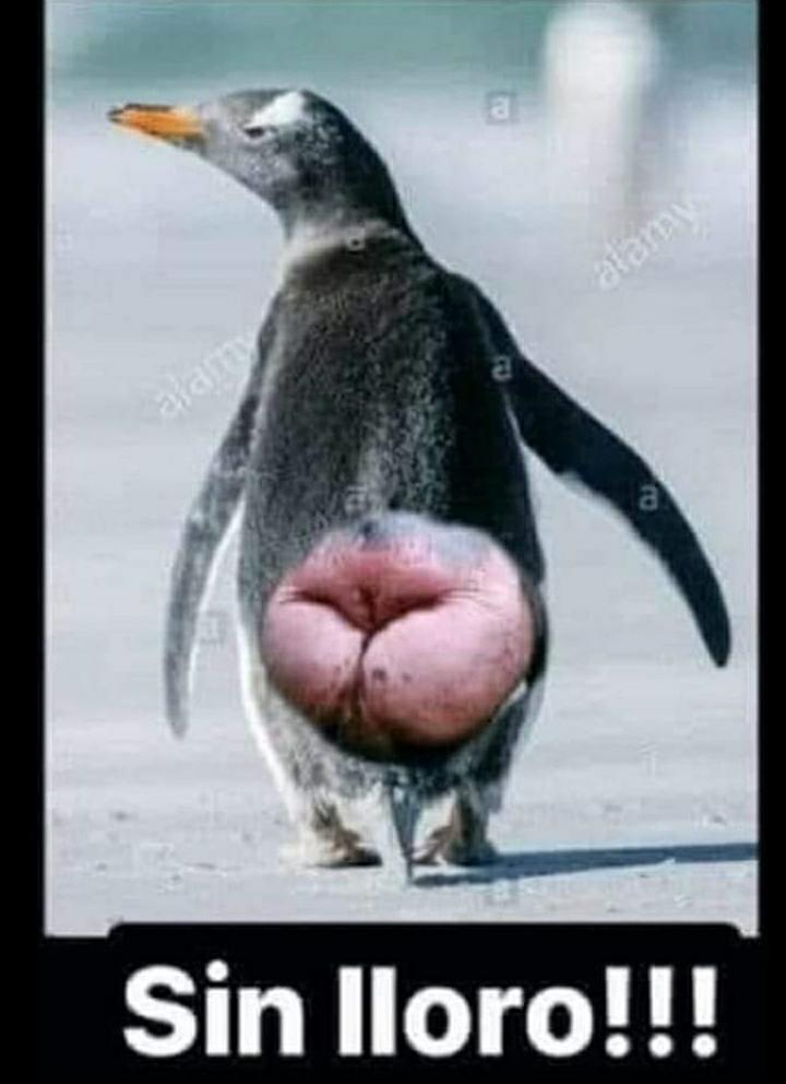AED904 tweet media