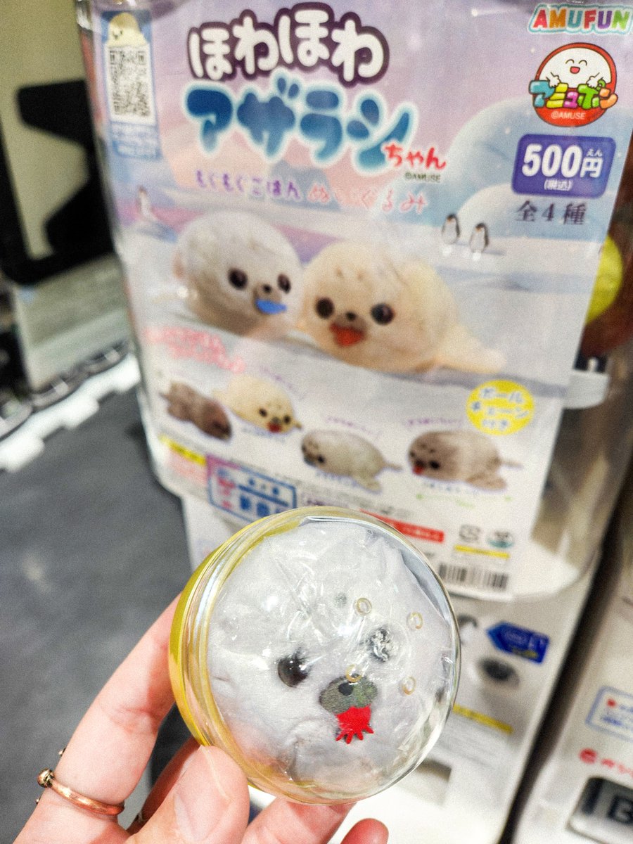 ゴタンダ tweet media
