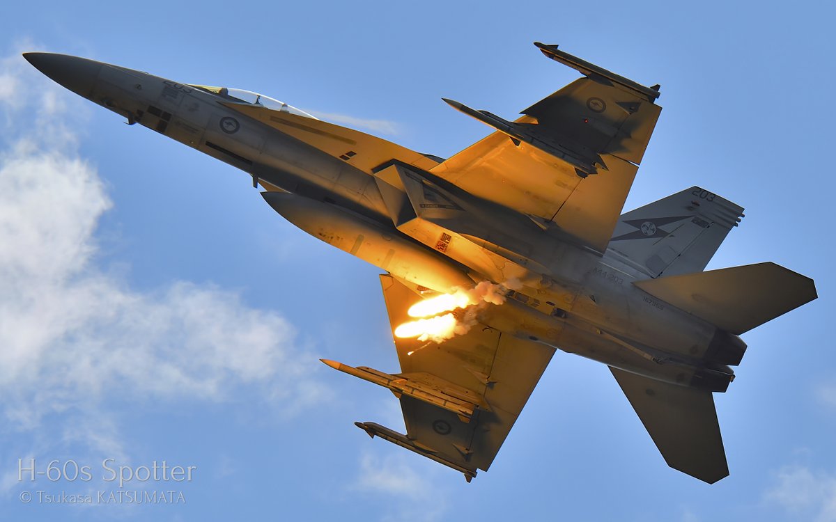 PHG_artworks's tweet photo. F/A-18F, RAAF, No.1 SQN "Fighting First"
RAAF Richmond Airshow 2025, RAAF Base Richmond, Australia, 28/Sep/2025
#fa18 #fa18f #superhornet #raaf #raafrichmond #raafrichmondairshow2025 #aircraftspotter #avgeek #aviationphotography https://t.co/edz6PzUtvs
