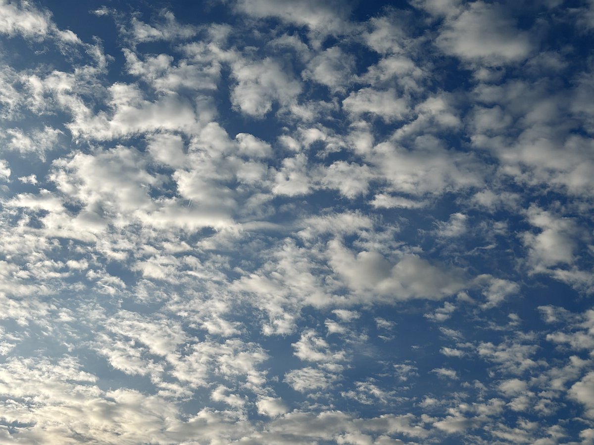 liam_lovell's tweet image. Nice skies over Carlisle this morning 🌅🌤️ #clouds