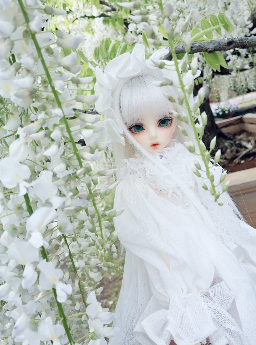 #毛玉服
#daydreamdoll