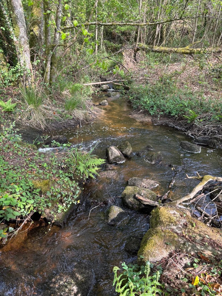 cyrildorner1's tweet image. #pourtoi #foryou #nature #photographie #photography #promenade