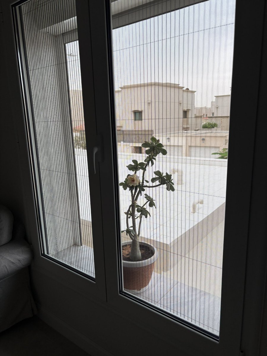 واحد tweet media