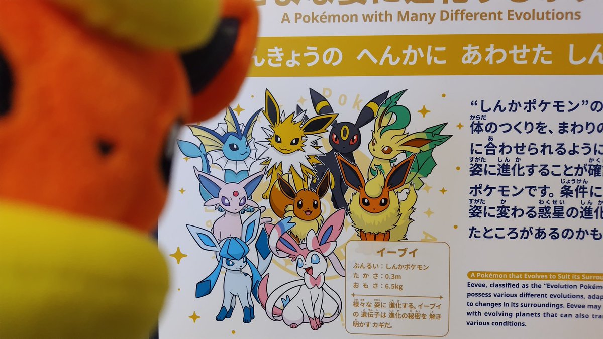 ハルアキ tweet media