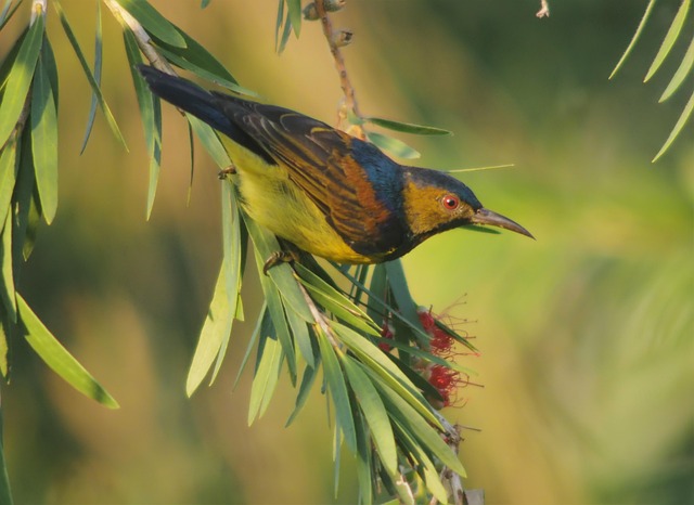 Gordon Fane tweet media