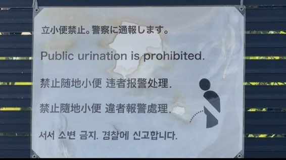 石川 慎之助(しんのすけ) tweet media