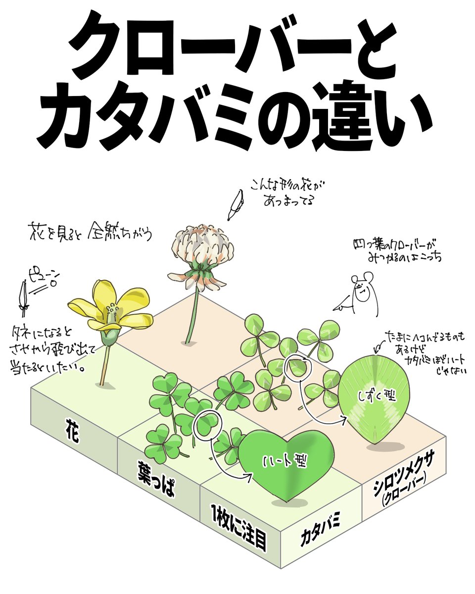 自然ガイドのネタ帳 tweet media